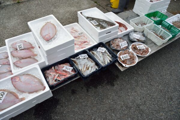雑賀崎漁港の直接販売の魚