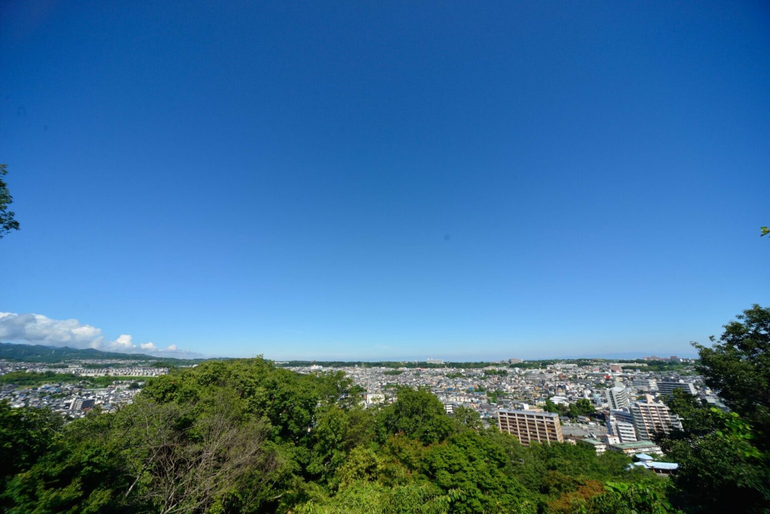 「長野公園」奥河内さくら公園の概要とあじさい等の見所を紹介。 節約家サラリーマン生活 「長野公園」奥河内さくら公園の概要とあじさい等の見所を紹介。 節約家サラリーマン生活