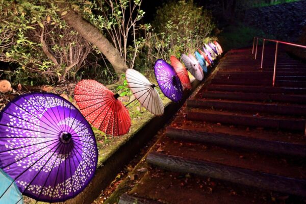 和傘のライトアップの画像