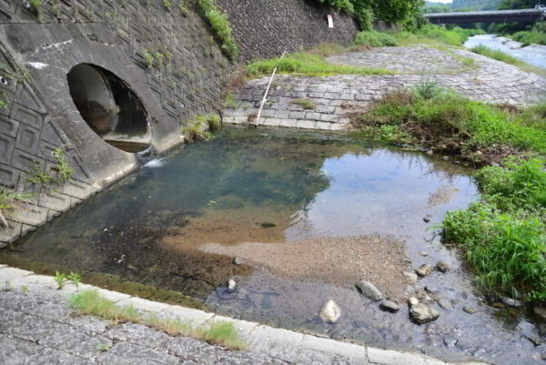 石川に生活用水が流れ込む画像