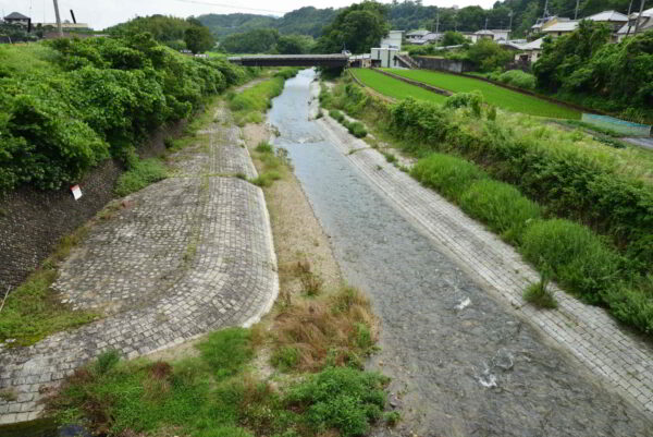 ゲリラ豪雨後の石川の増水の画像