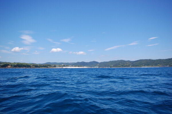 沖から海水浴場をみた景色の画像