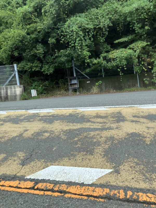 国道42号線沿いの有田みかん無人販売所の画像
