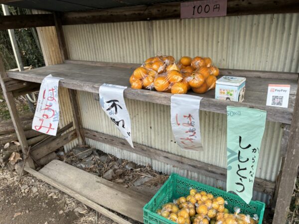 ハッサクが売られている無人販売所の画像