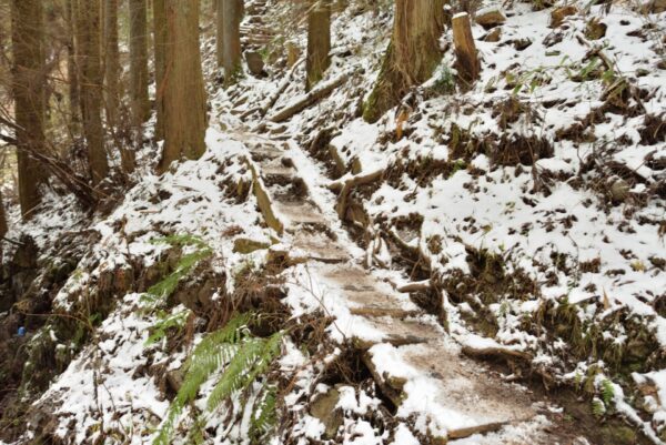 冬の寺谷ルートの登山道