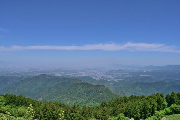 山頂から大阪方面を眺めた画像