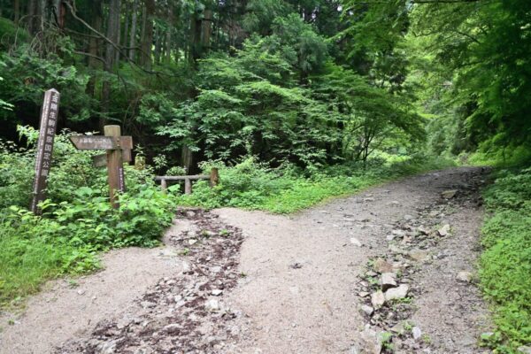 水越川ダイトレの画像