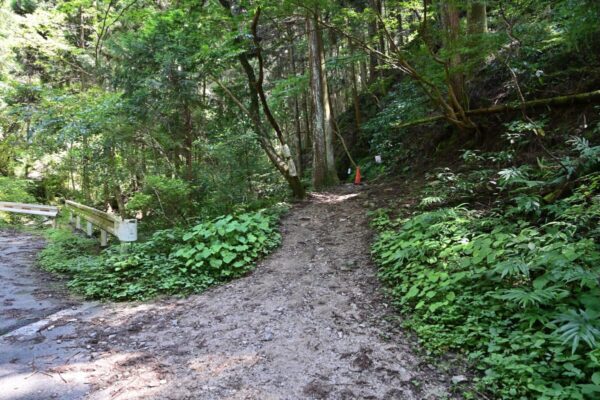 金剛山ツツジオ谷の入口の画像