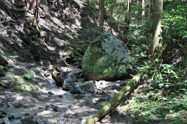 金剛山ツツジオ谷のおにぎり岩の画像