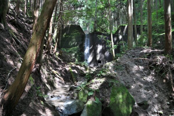 金剛山ツツジオ谷の堰堤の画像