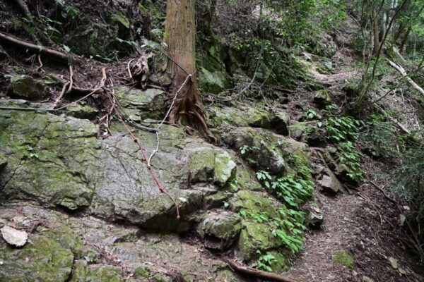 ツツジオ谷の登攀ポイントの画像