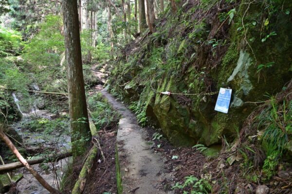 ツツジオ谷スタートのロープ場の画像