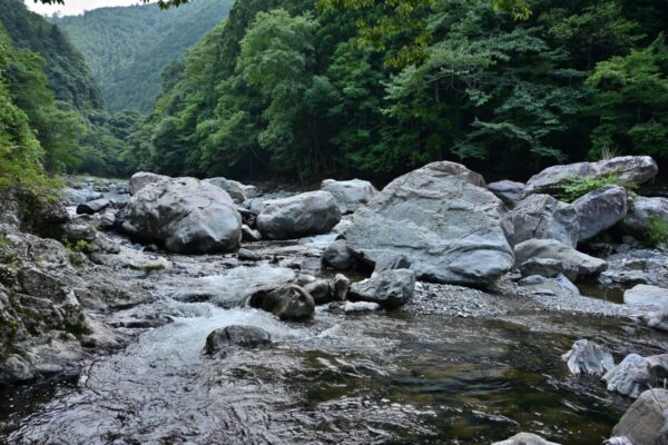 玉川峡の川遊び場の画像