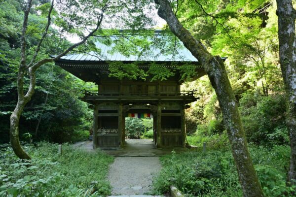 施福寺の門の画像