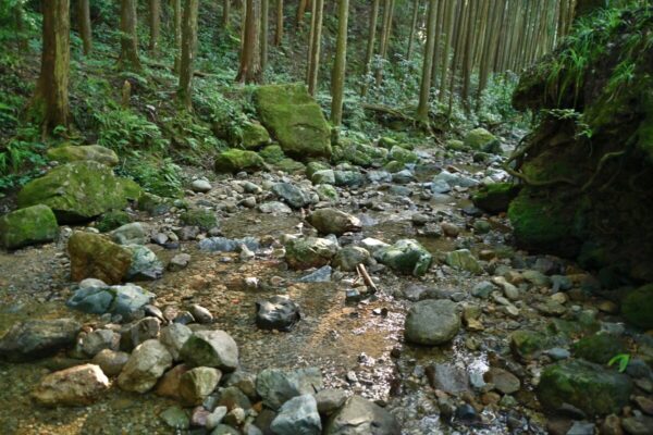 槇尾山グリーンランドの川遊び場の二つ目の画像