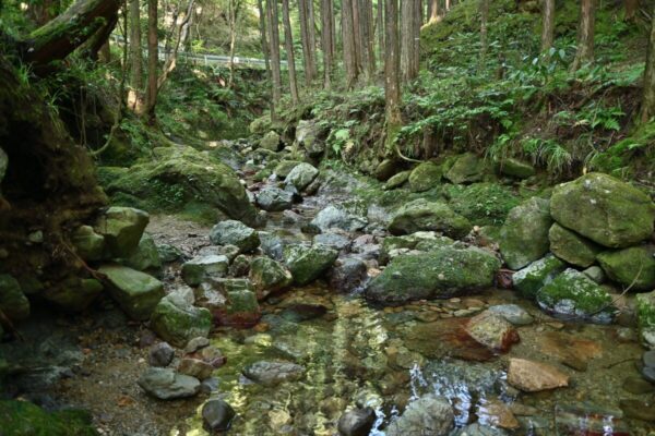 槇尾山グリーンランドの川遊び場の一つ目の画像