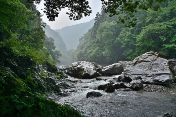 玉川峡のゲリラ豪雨の画像