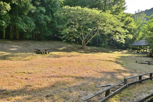 槇尾山公園口の芝生広場の画像