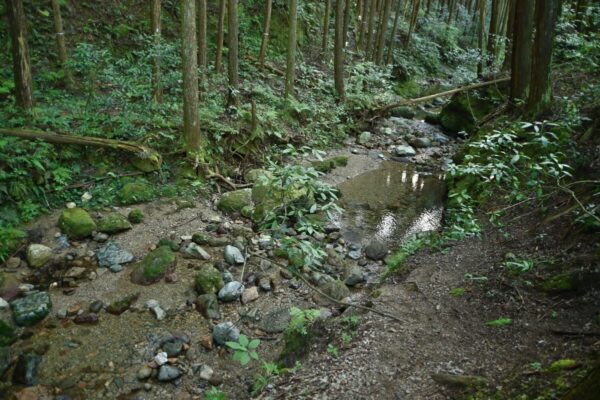 槇尾山グリーンランドの川遊び場三つ目の画像