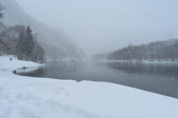 吹雪いている大正池付近の画像