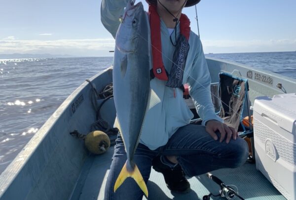印南のレンタルボートで釣れたメジロの画像