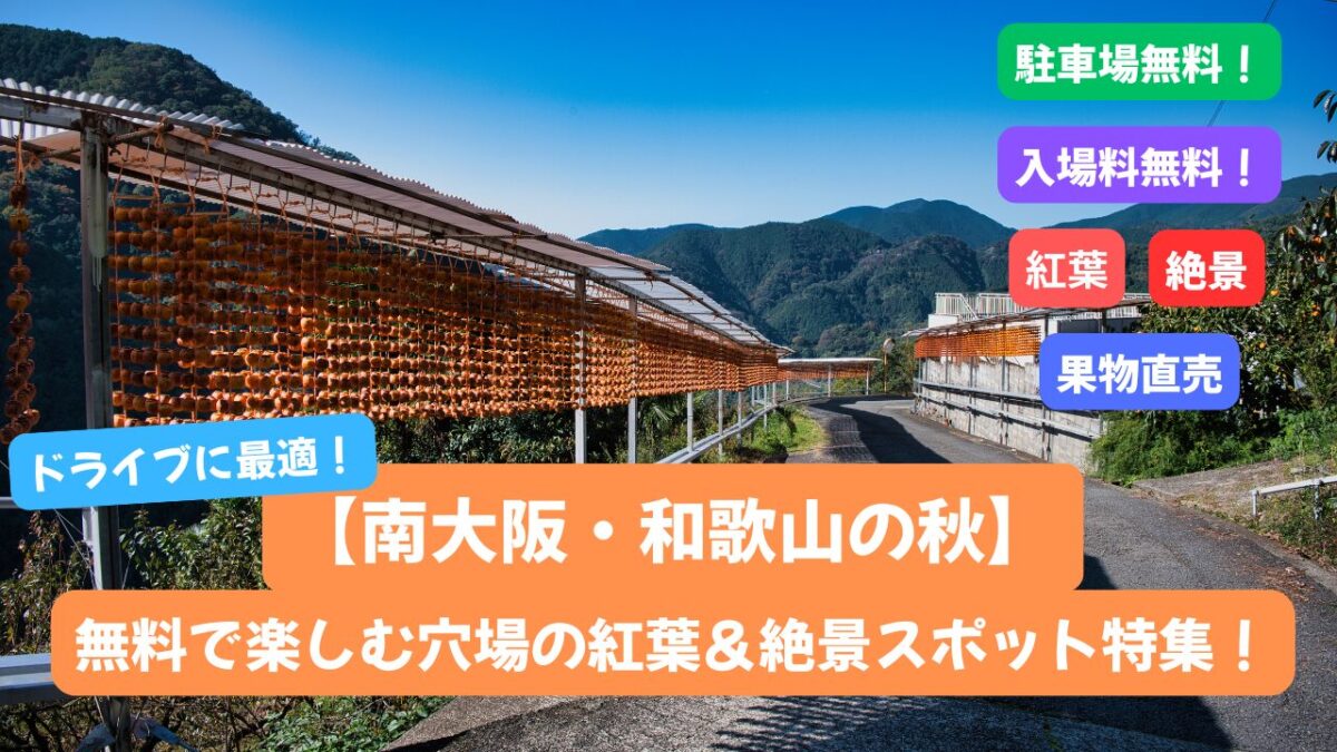 タイトルが書かれたアイキャッチ画像