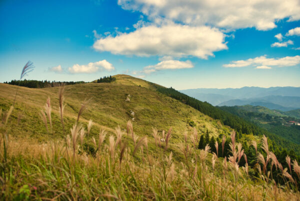 生石高原の山頂までの景色の画像