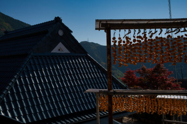 古民家の前に吊るされた串柿の画像