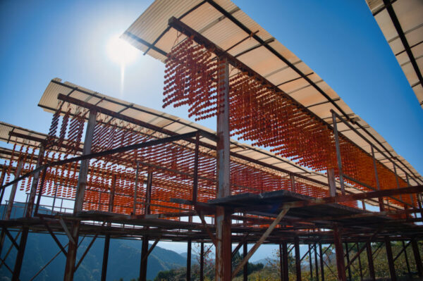 定福寺周辺に吊るされた串柿の画像