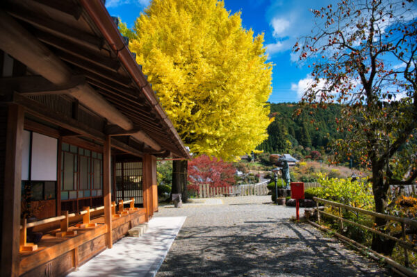 堀越観音付近の風景の画像