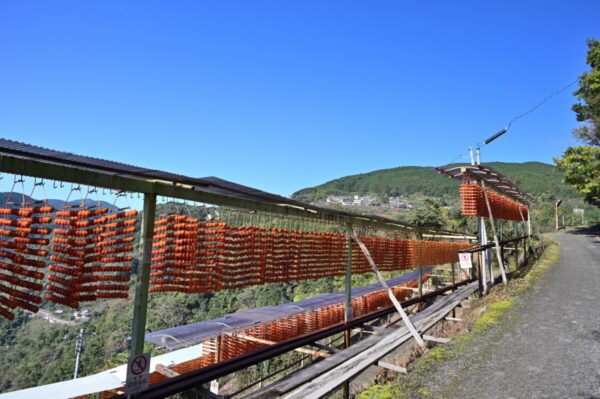 東谷の串柿の画像