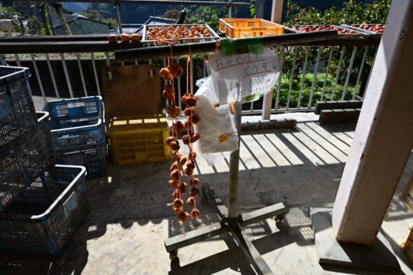 吊るし柿の画像