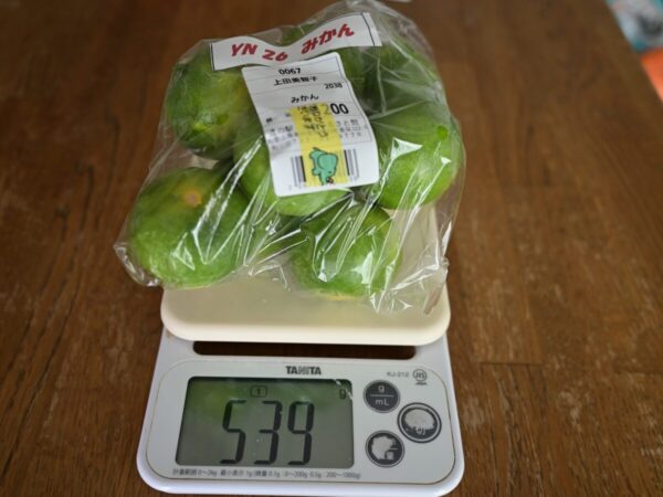 YN26みかんの画像