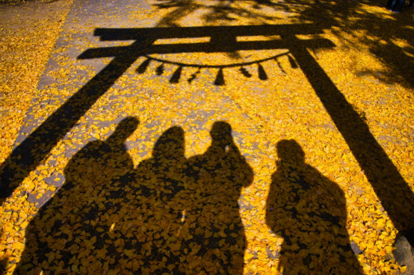 鳥居と人の影の画像