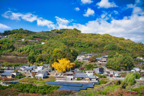 遠くから賀茂神社を眺めた画像