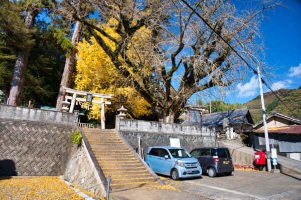 加茂神社の駐車場の画像