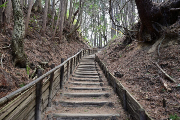 山頂まで続く千早本道の階段の画像