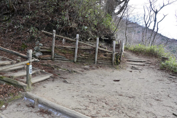 千早本道の新道との分岐の画像