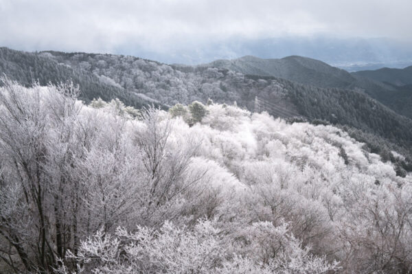 千早園地の展望台からの眺めの画像