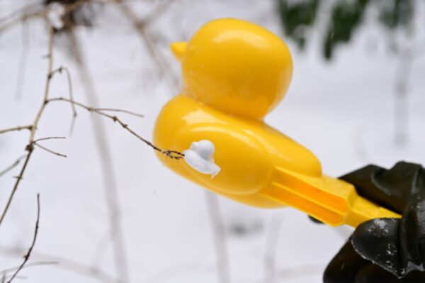 特大アヒルメーカーの画像