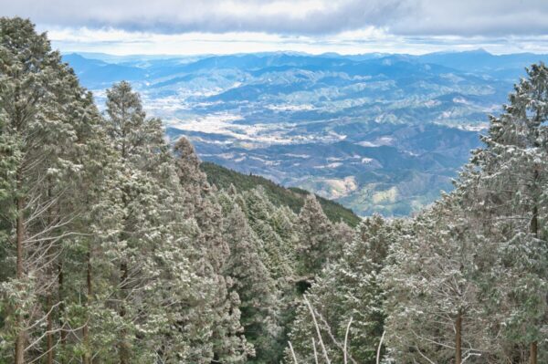伏見峠ルートからの眺望の画像