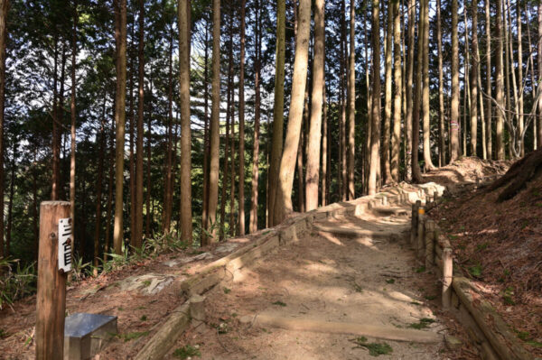 千早本道の景色の画像