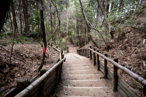千早本道の下り階段の画像