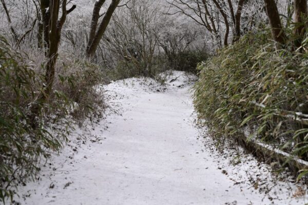 冬の伏見峠ルートの画像