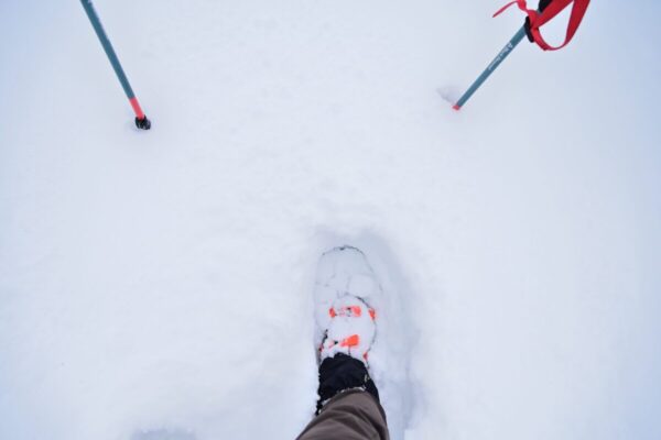 スノーシューの浮力が分かる画像