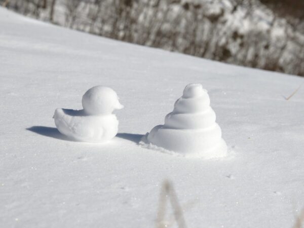 雪玉アヒル隊長の画像