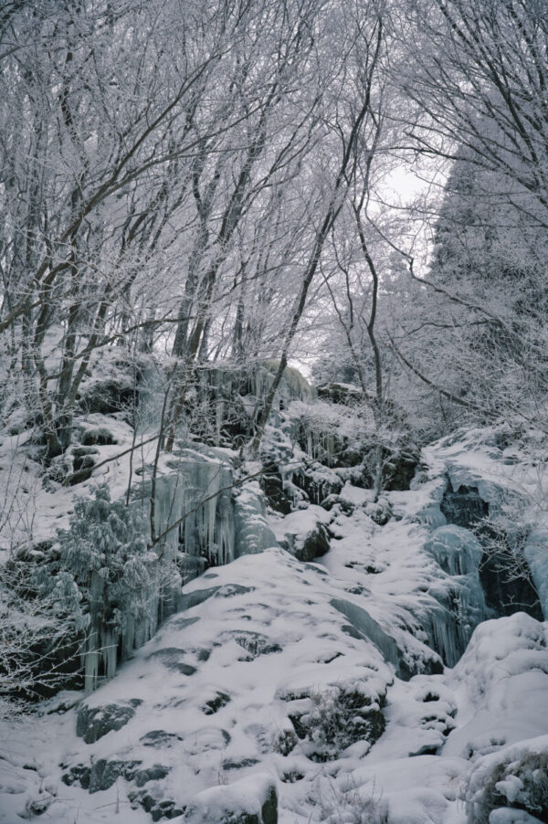 明神平の氷瀑の画像