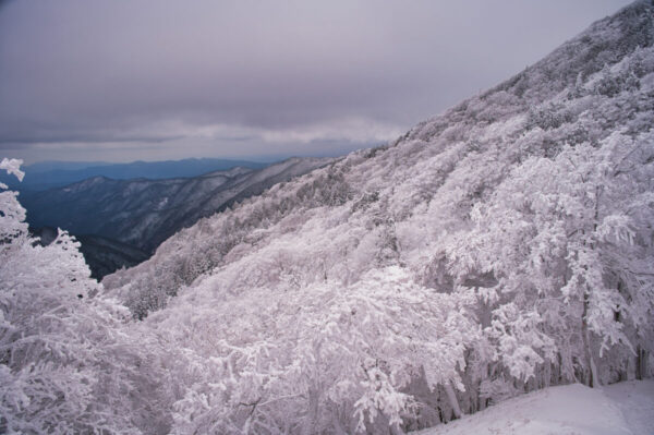 明神平からの眺望の画像