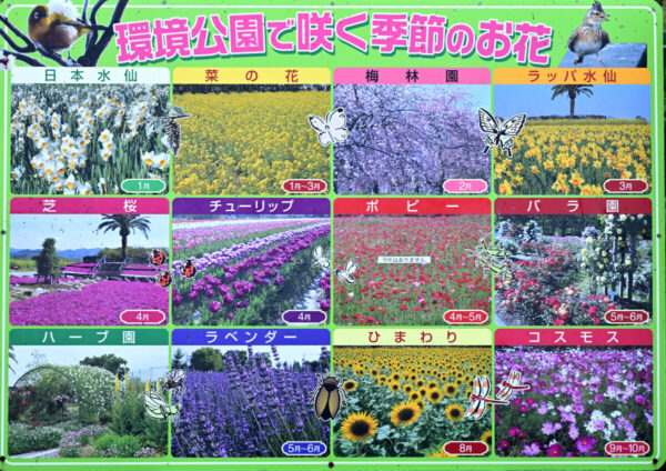 四季折々の花が描かれた画像