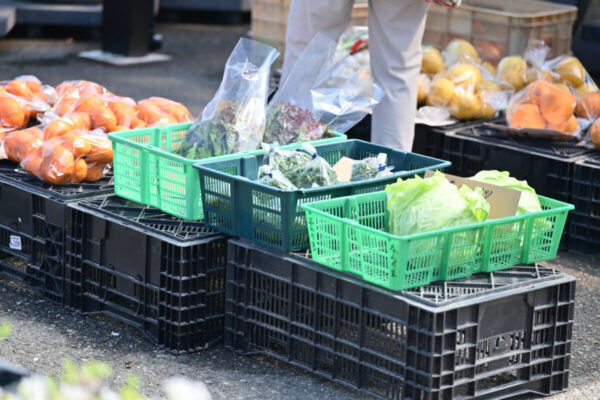 リサイクル環境公園で売られている野菜の写真